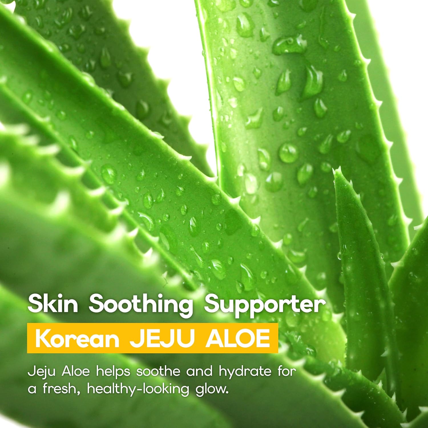 HOLIKA HOLIKA Aloe Cica UV Defense Sunscreen SPF 40 PA++++ – Lightweight Daily Face Sun Cream with Aloe & Centella for Sensitive Skin, Non-Greasy Hydrating Glow, Korean Skincare, 1.69 fl oz
