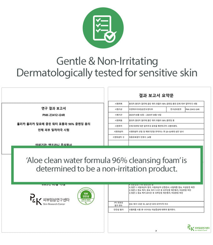 Aloe Cleansing Foam Travel Size | Holika Holika Aloe Clean Water 96%
