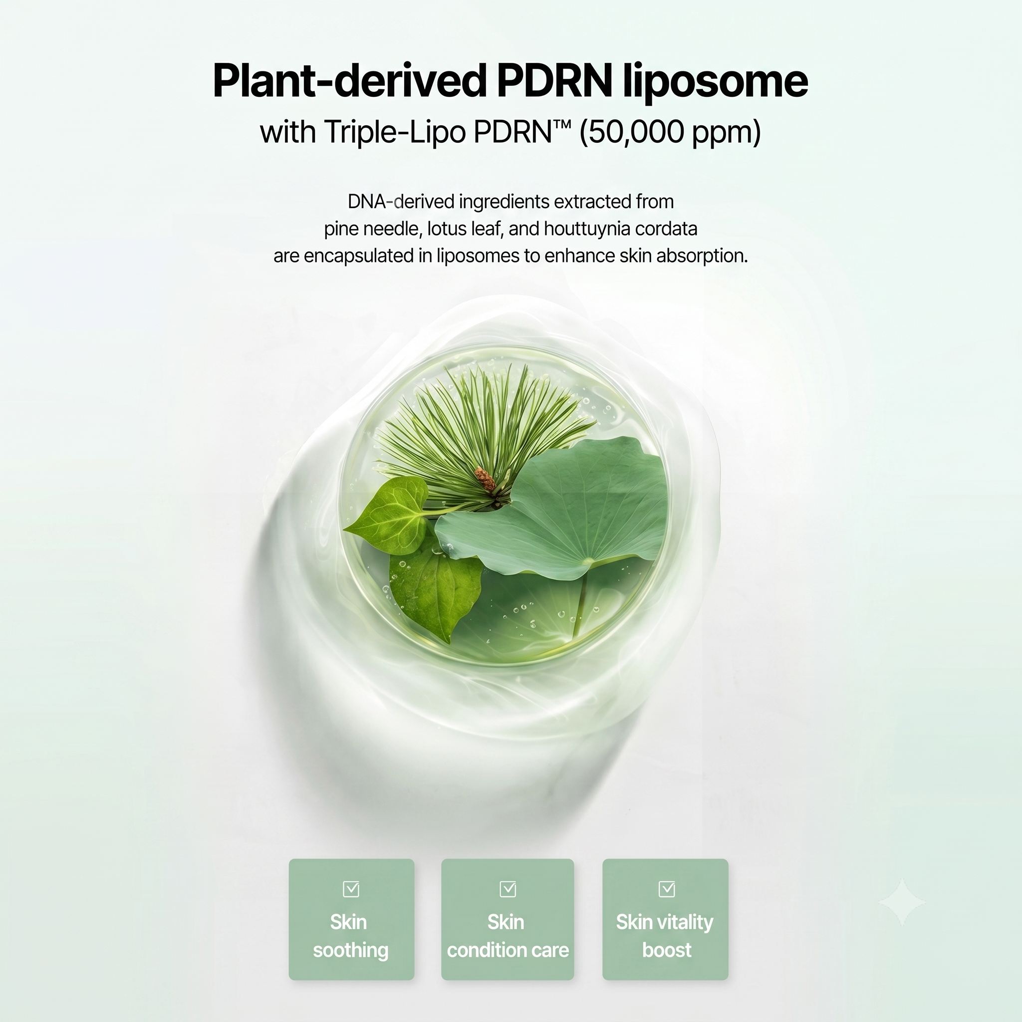 Enprani Botatinol PDRN Skin Perfecting Serum 50ml