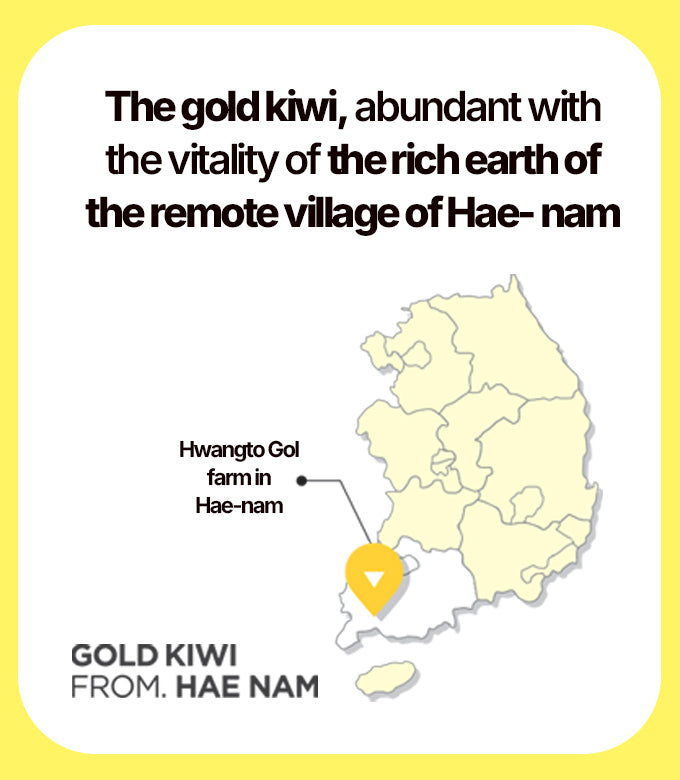 The gold kiwi, abundant with the vitality of the rich earch of the remote village of Hae nam.